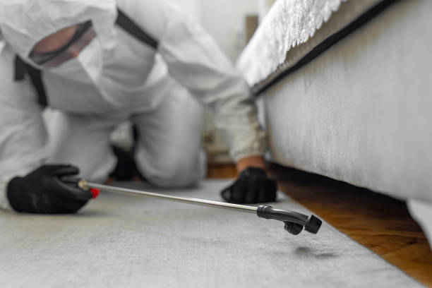 Professional Rodent Control technician working in Los Luceros, NM