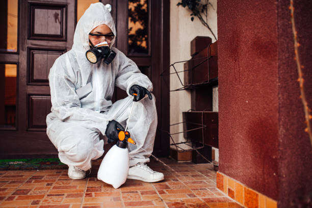 Reliable Rodent Control contractor in Los Luceros, NM by Nex Pest Control