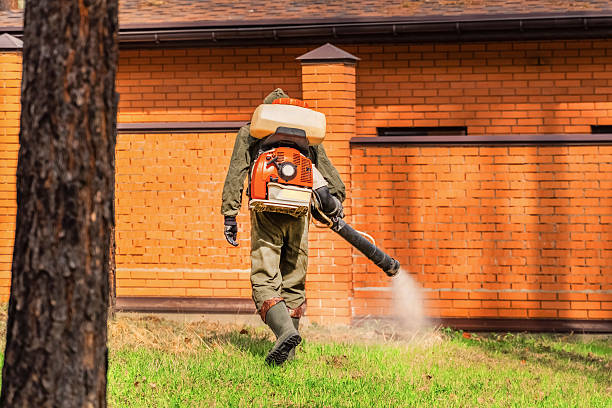 Trusted Termite Control service in Los Luceros, NM - Nex Pest Control